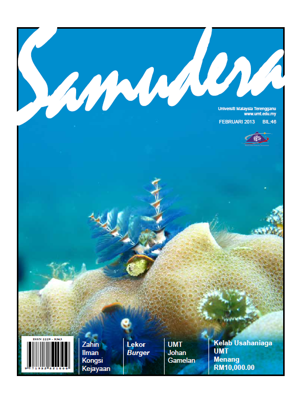 Februari 2013
