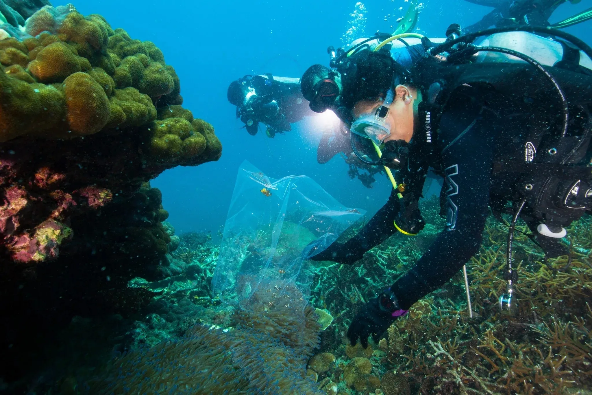 IBTPL - Institute for Tropical Biodiversity & Sustainable Development